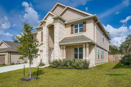 New construction Single-Family house 25606 White Alpine Dr, Spring, TX 77373 - image