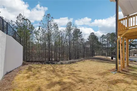 New construction Single-Family house 355 Ivey Township Dr, Dallas, GA 30312 Chatham Basement- photo 71 71