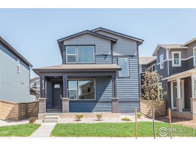 New construction Single-Family house 6116 Dutch Dr, Timnath, CO 80547 plan Edison - image