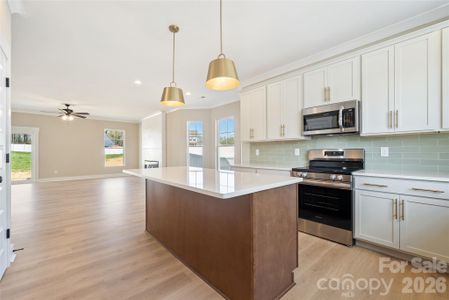 New construction Single-Family house 11577 Valley Oaks Ln, Unit 30, Stanfield, NC 28163 - image 6