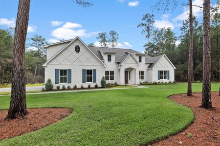 New construction Single-Family house 136 Grand View, Huntsville, TX 77340 - photo 0