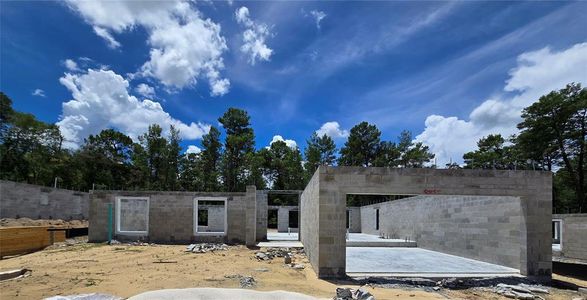 New construction Single-Family house 2613 Clearwood St, Inverness, FL 34452 - image