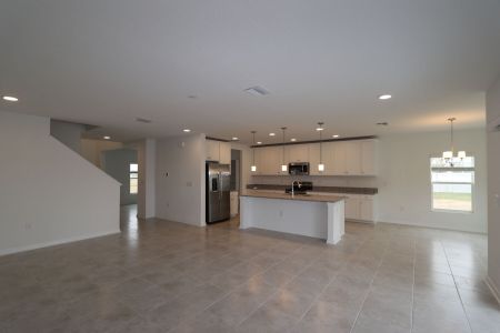 New construction Single-Family house 38350 Tobiano Loop, Dade City, FL 33525 Cabo- photo 135 135