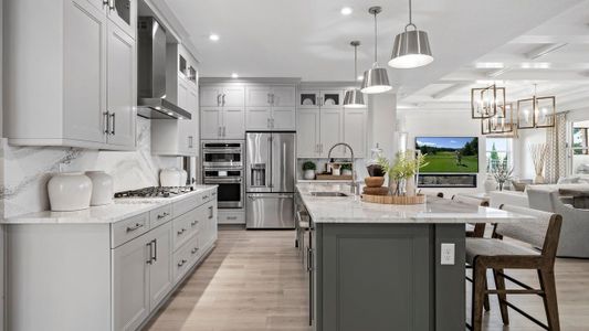 New construction Single-Family house 1400 Bellagio Lp, Tavares, FL 32778 plan Pearl - image 8