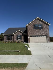 New construction Single-Family house 273 Streamflow Dr, Ashland City, TN 37015 - image