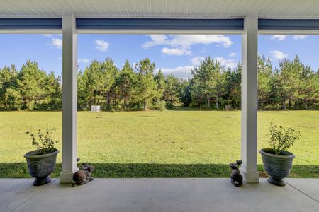 New construction Single-Family house 442 Rhode Dr, Cottageville, SC 29435 - image