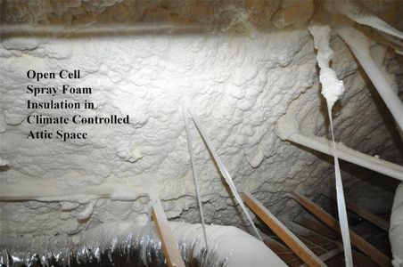 New construction Single-Family house 2118 Palmilla Rd, League City, TX 77539 null- photo 30 30