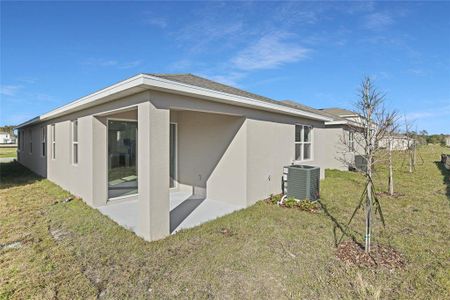 New construction Single-Family house 207 Bull Frog Ln, Umatilla, FL 32784 null- photo 8 8