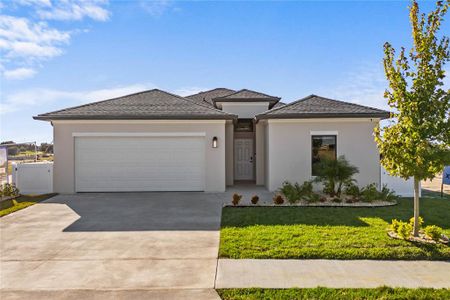 New construction Single-Family house 6274 Chorus Dr, Groveland, FL 34736 Model 1- photo 0