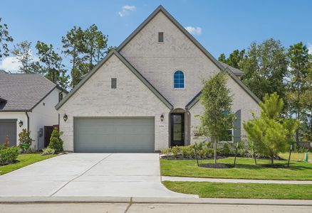 New construction Single-Family house 29897 Amber Brook Dr, Magnolia, TX 77354 plan 4059 Elevation D - image