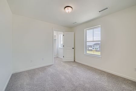 New construction Single-Family house 7906 Polson Dr, Colorado Springs, CO 80908 plan Plan C407 - image 18