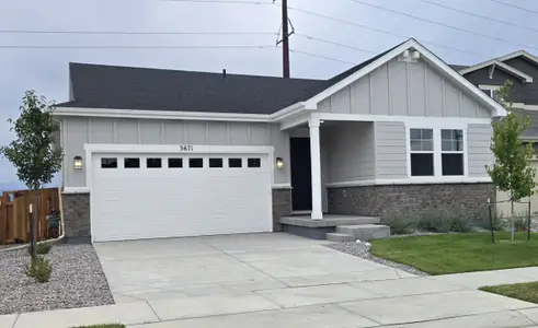 New construction Single-Family house 3671 Sandreed St, Dacono, CO 80514 plan The Livingston - image