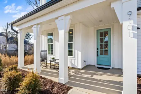 New construction Single-Family house 9101 Dupree Mdw Dr, Unit 43, Angier, NC 27501 - image 3