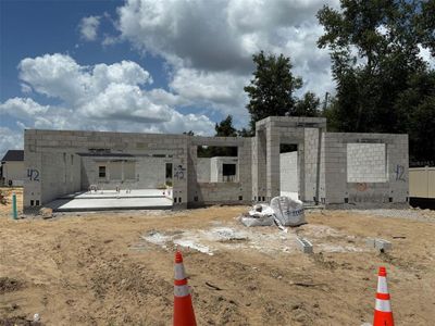 New construction Single-Family house 699 Pointe Emerson Blvd, Apopka, FL 32703 plan Corina II - Eco Grand Series - image