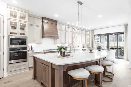 New construction Single-Family house 2036 Grey Birch Pl, Aledo, TX 76008 plan 222 - image 15