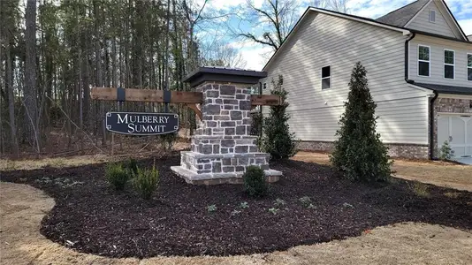 New construction Townhouse house 5635 Chickory Dr, Flowery Branch, GA 30542 null- photo 0