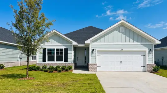 New construction Single-Family house 162 Riverwalk Cir, Freeport, FL 32439 plan 1634 - image