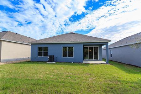 New construction Single-Family house 905 Chasetree Ln, St. Cloud, FL 34771 Mulberry- photo 18 18