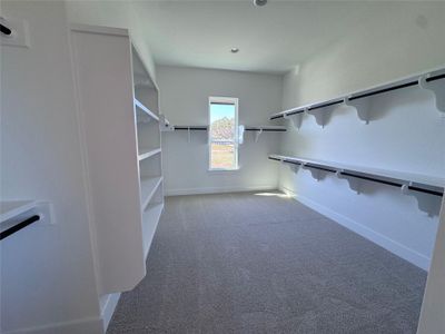 New construction Single-Family house 520 Wonderstruck, Liberty Hill, TX 78642 plan Santa Barbara II - image 17