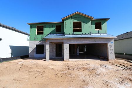 New construction Single-Family house 12294 Hilltop Farms Dr, Dade City, FL 33525 Malibu- photo 16 16