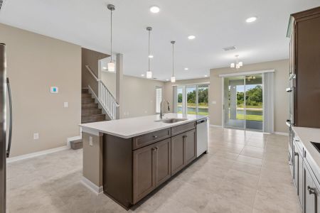 New construction Single-Family house 5800 Freesia Dr, Lakeland, FL 33811 plan Mira Lago - image 9