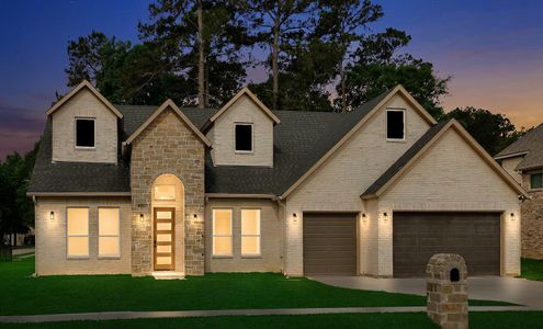 New construction Single-Family house 1511 Cafe Dumonde, Conroe, TX 77304 - image