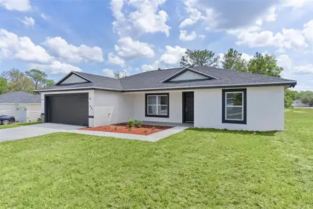 New construction Single-Family house 44 Malauka Dr, Ocklawaha, FL 32179 - image