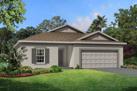 New construction Single-Family house 31979 Sapna Chime Dr, Wesley Chapel, FL 33543 null- photo 2 2