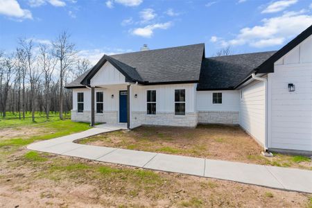 New construction Single-Family house 106 Waipahoehoe Dr, Bastrop, TX 78602 null- photo 3 3