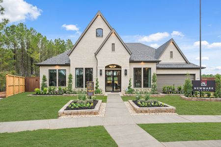 Wildtree 70' by Newmark Homes in Montgomery - image