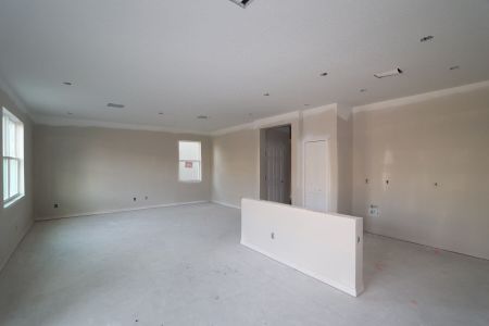 New construction Single-Family house 2601 Sunny Pebble Loop, Zephyrhills, FL 33540 Miralles- photo 42 42