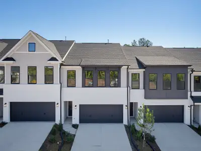 New construction Single-Family house 1309 Marigold Meadows Ct, Durham, NC 27703 plan Mandevilla - image