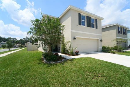 New construction Single-Family house 10826 Trailing Vine Dr, Tampa, FL 33610 null- photo 3 3