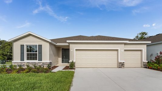 New construction Single-Family house 3182 Canopy Oak Boulevard, Wildwood, FL 34785 - photo 0