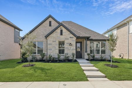 New construction Single-Family house 444 Lost Creek Trl, Waxahachie, TX 75165 plan Blue Jay - image
