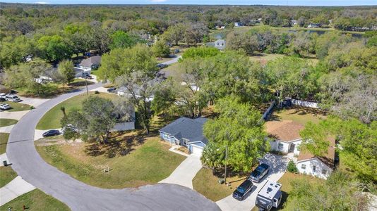 New construction Single-Family house 804 Deep Wood Ct, Fruitland Park, FL 34731 null- photo 4 4