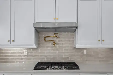 New construction Single-Family house 1264 Sage Pine Cir, Clover, SC 29710 plan Bethpage - image 17