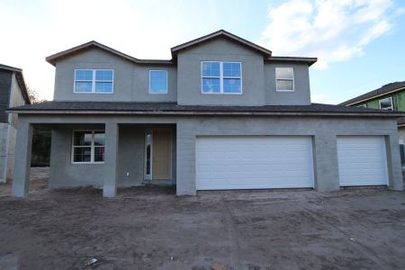 New construction Single-Family house 20131 Oriana Loop, Land O' Lakes, FL 34638 Sonoma II- photo 100 100