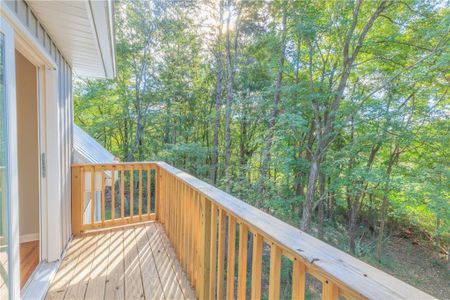 New construction Single-Family house 55 Reece St, Menlo, GA 30731 - image