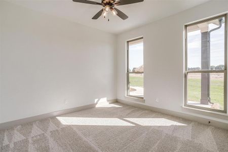 New construction Single-Family house 1062 Alex Dr, Springtown, TX 76082 null- photo 27 27