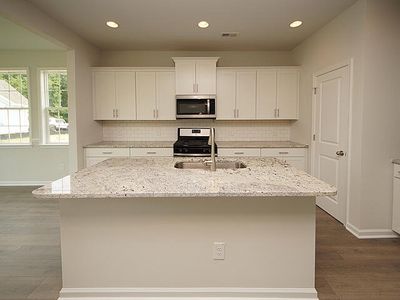 New construction Single-Family house 490 Eagleview Dr, Moncks Corner, SC 29461 null- photo 6 6