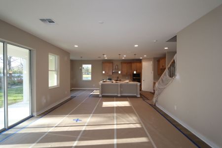 New construction Single-Family house 20125 Oriana Loop, Land O' Lakes, FL 34638 Santina II- photo 147 147