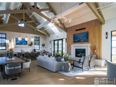 New construction Duplex house 155 Washington St, Erie, CO 80516 plan Villa Series Sassafras  - image 17