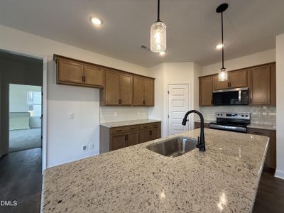 New construction Single-Family house 215 Pretty Run Branch Ln, Wendell, NC 27591 - image 6