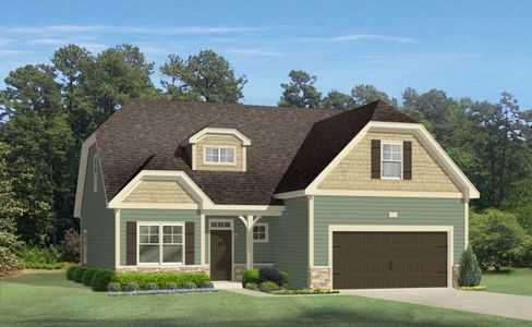 New construction Single-Family house Clayton, NC 27520 - photo 0