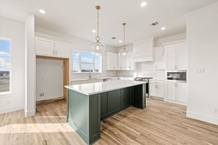 New construction Single-Family house 412 Caprock St, Reno, TX 76020 - image 8