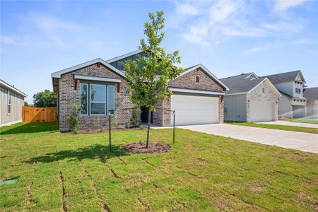 New construction Single-Family house 548 Gus Lp, Georgetown, TX 78626 plan Medina - image