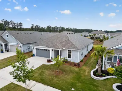 New construction Single-Family house 334 Autumn Azalea Wy, Summerville, SC 29486 - image