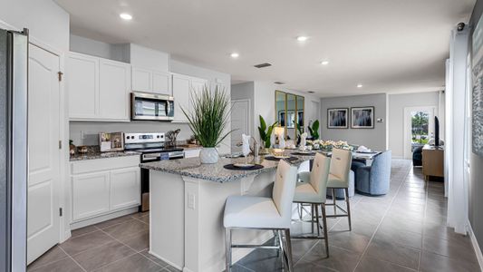 New construction Single-Family house 423 Warm Heron Pl, Ruskin, FL 33570 plan Harper - image 4