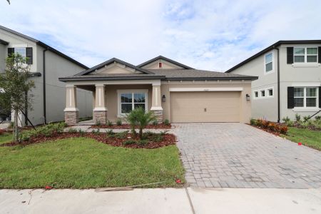 New construction Single-Family house 33227 Amling Pecan Br, Wesley Chapel, FL 33545 Newport II- photo 49 49